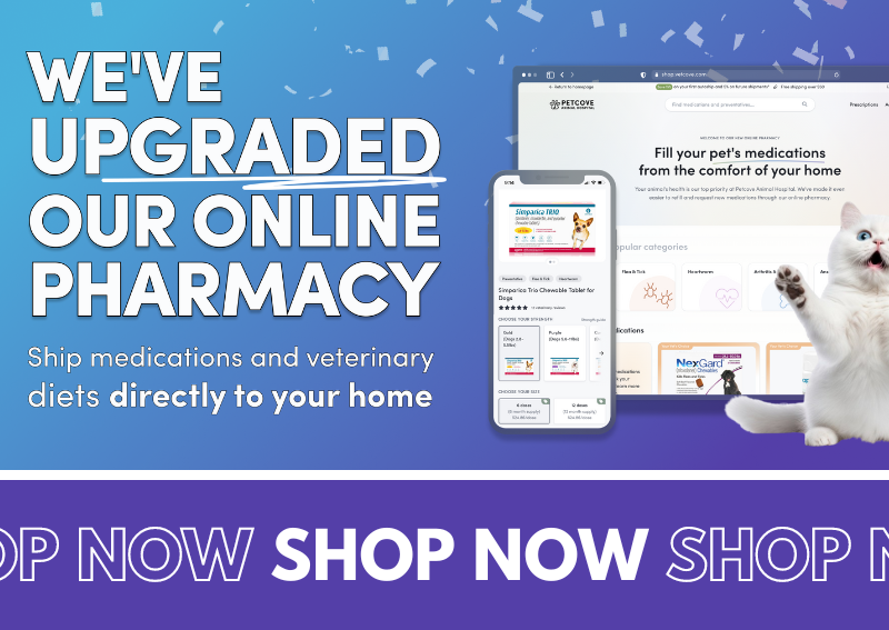 Carousel Slide 4: We've Upgraded our Online Pharmacy!