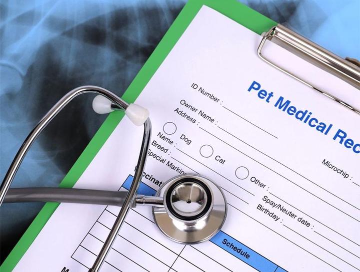 Pet Portal Mill Creek Animal Hospital