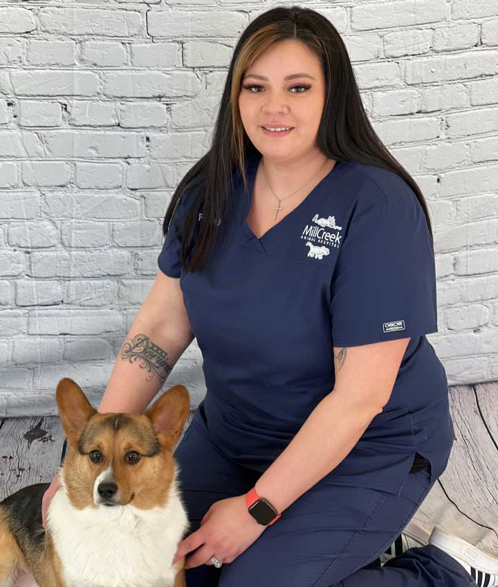 Experienced Veterinarians | Animal Hospital in Shawnee